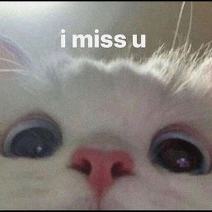 Meet your Posher, Wynter